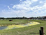 Zandlemig Vlaanderen